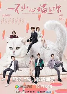 Accidentally Meow On You (2022) เหมียวเหมียวเกี่ยวใจให้เจอรัก