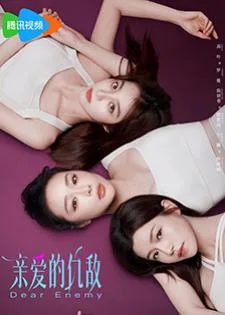 Dear Enemy (2025) คู่รักคู่แค้น