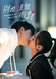 Destined to Meet You (2022) เดสทินี รักนี้พี่ขอ
