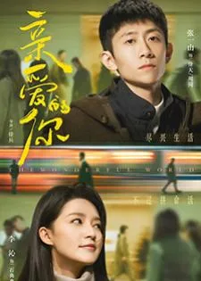 The Wonderful World (2025) แด่เธอที่รัก