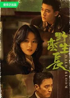 Wild Bloom (2022) เติบโตอย่างหญิงแกร่ง