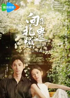 Xiangbei Regret (2024) เกสต์เฮาส์เยียวยารัก